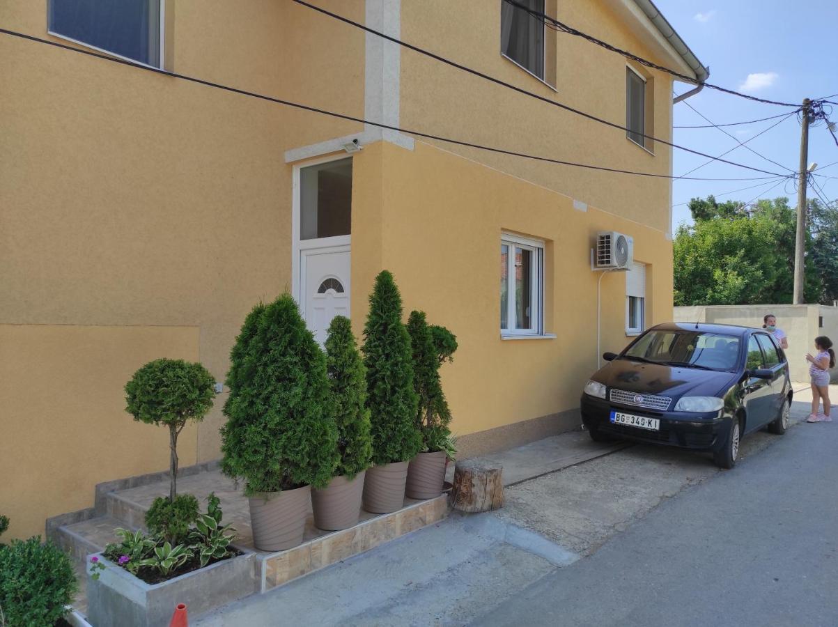 Andrea Airport Apartment *