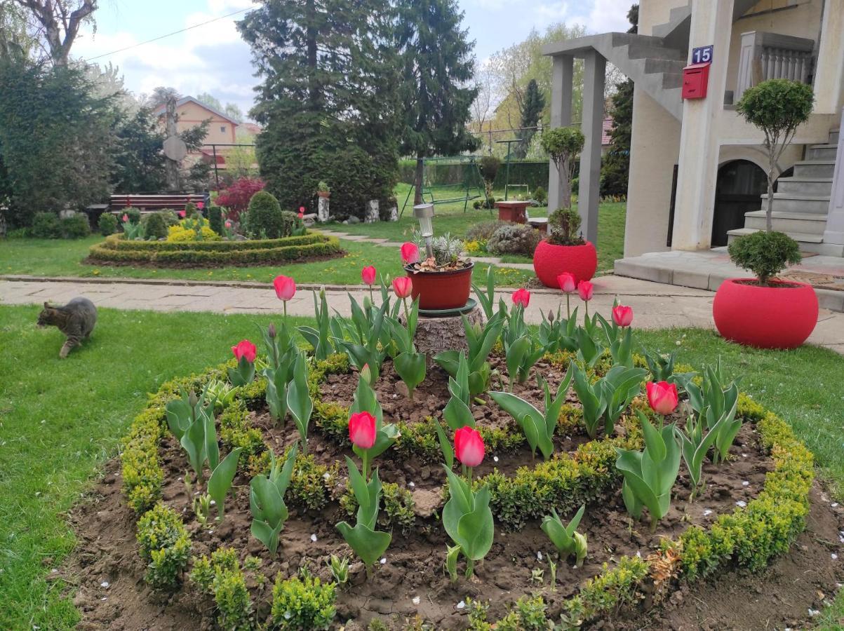 Apartman Andrea Airport *